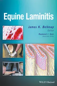 Equine Laminitis_cover
