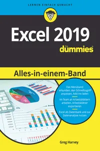 Excel 2019 Alles-in-einem-Band für Dummies_cover