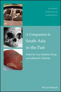 A Companion to South Asia in the Past_cover