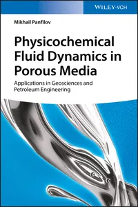 Physicochemical Fluid Dynamics in Porous Media_cover