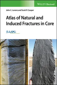 Atlas of Natural and Induced Fractures in Core_cover