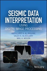 Seismic Data Interpretation using Digital Image Processing_cover