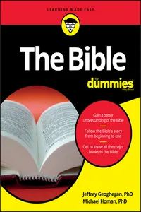 The Bible For Dummies_cover