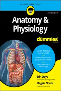 Anatomy & Physiology For Dummies_cover