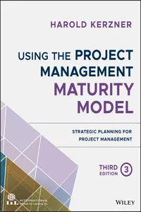 Using the Project Management Maturity Model_cover