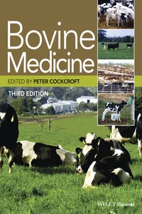 Bovine Medicine_cover