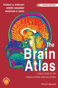 The Brain Atlas_cover