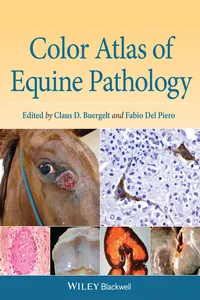 Color Atlas of Equine Pathology_cover