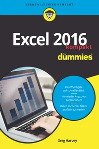 Excel 2016 für Dummies kompakt_cover