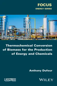 Thermochemical Conversion of Biomass for the Production of Energy and Chemicals_cover