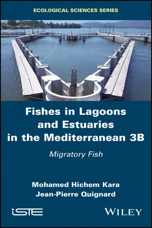 Fishes in Lagoons and Estuaries in the Mediterranean 3B