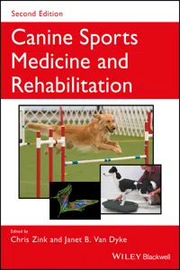 Canine Sports Medicine and Rehabilitation_cover