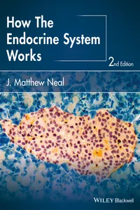 How the Endocrine System Works_cover
