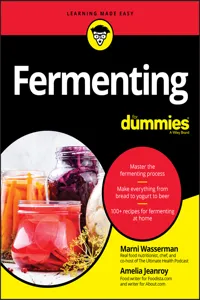 Fermenting For Dummies_cover