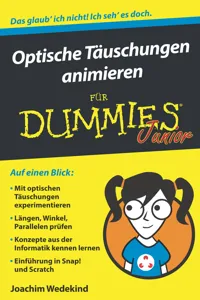 Optische Täuschungen animieren für Dummies Junior_cover