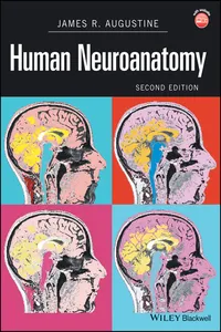 Human Neuroanatomy_cover