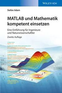 MATLAB und Mathematik kompetent einsetzen_cover