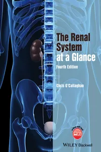 The Renal System at a Glance_cover