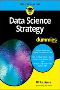 Data Science Strategy For Dummies_cover