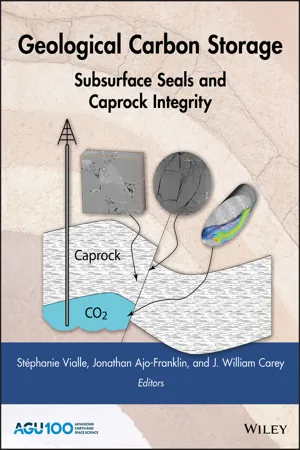 Geological Carbon Storage