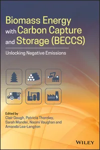 Biomass Energy with Carbon Capture and Storage_cover