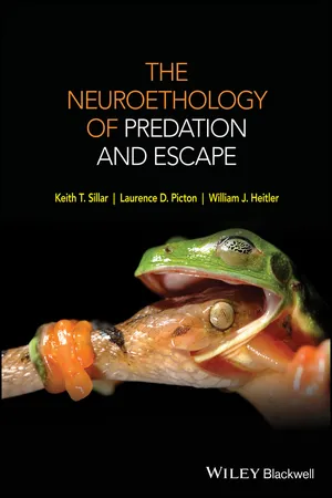 Book cover image for: The Neuroethology of Predation and Escape