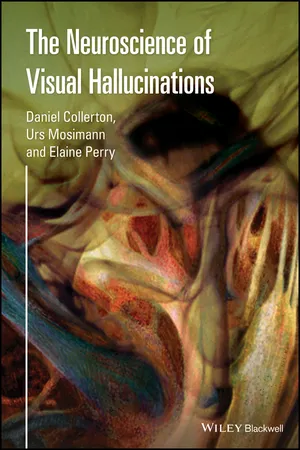 The Neuroscience of Visual Hallucinations