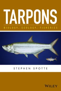 Tarpons_cover