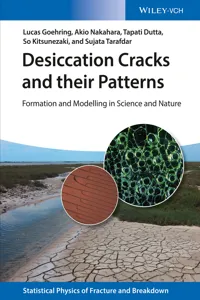 Desiccation Cracks and their Patterns_cover