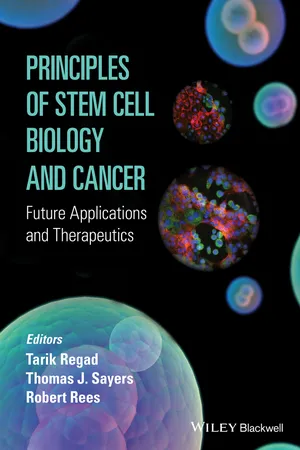 Principles of Stem Cell Biology and Cancer