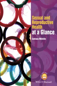 Sexual and Reproductive Health at a Glance_cover
