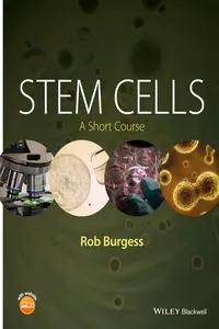 Stem Cells_cover