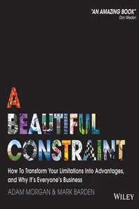 A Beautiful Constraint_cover