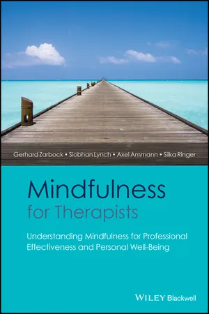 Mindfulness for Therapists