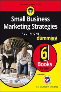 Small Business Marketing Strategies All-in-One For Dummies_cover