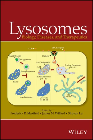 Lysosomes