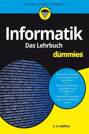 Informatik für Dummies, Das Lehrbuch