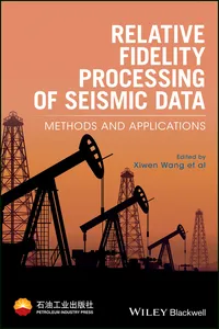 Relative Fidelity Processing of Seismic Data_cover