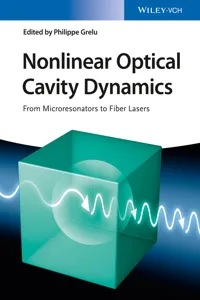 Nonlinear Optical Cavity Dynamics_cover