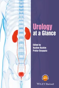 Urology at a Glance_cover