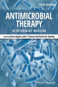 Antimicrobial Therapy in Veterinary Medicine_cover