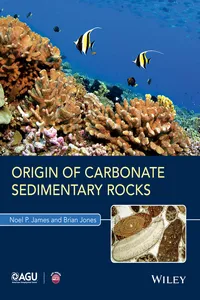 Origin of Carbonate Sedimentary Rocks_cover