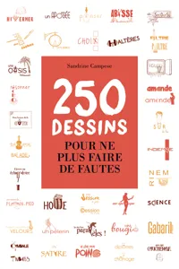 250 dessins pour ne plus faire de fautes_cover