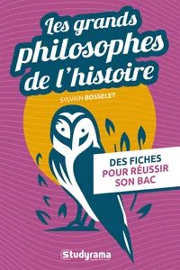 Les grands philosophes de l'histoire : Des fiches pour réussir son bac_cover