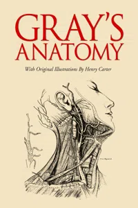 Gray's Anatomy_cover