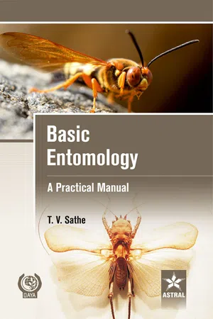 Basic Entomology: A Practical Manual