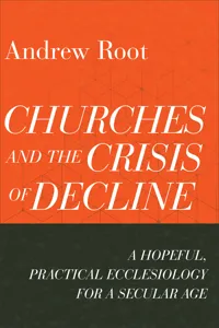 Churches and the Crisis of Decline_cover