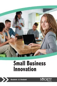Small Business Innovation_cover
