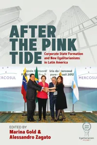 After the Pink Tide_cover