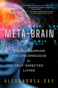 Meta-Brain_cover